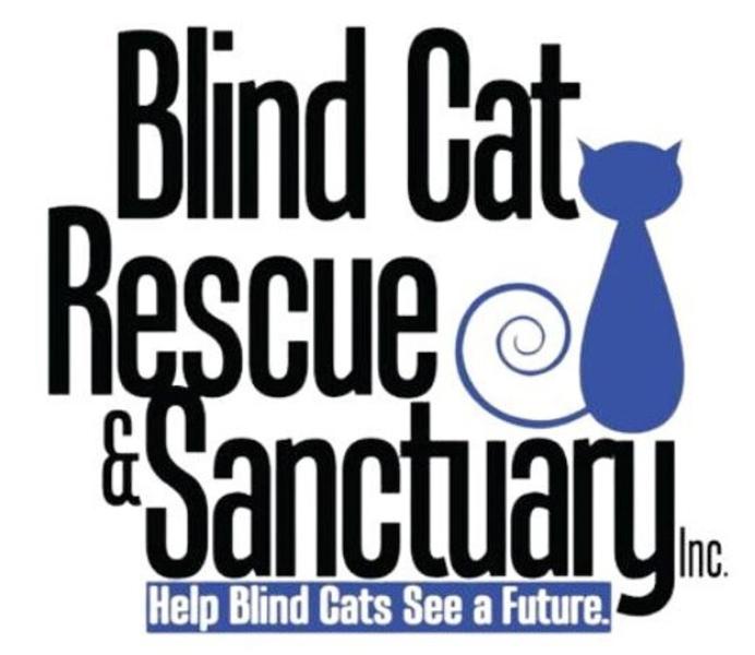 Preview of Blog Article Shelter Shout Out: Blind Cat Rescue & Sanctuary