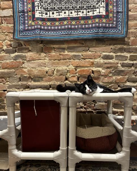 a tuxedo cat laying on a kuranda cat tower in front of a brick wall