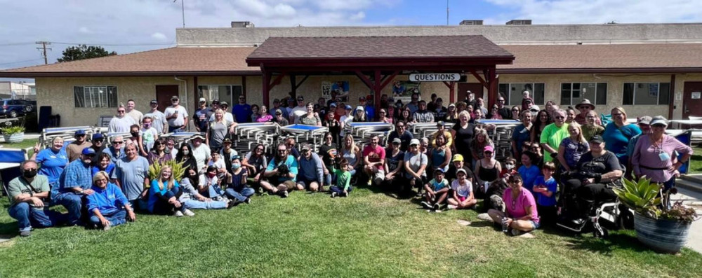 Preview of Blog Article International Homeless Animals Day