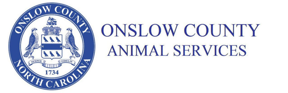 Preview of Blog Article Shelter Shout Out: Onslow County Animal Services