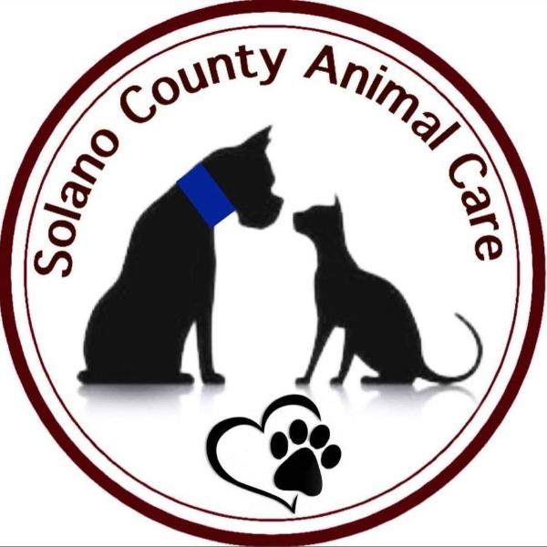 Preview of Blog Article Shelter Shout Out: Solano County Sherriff’s Office - Animal Care Division